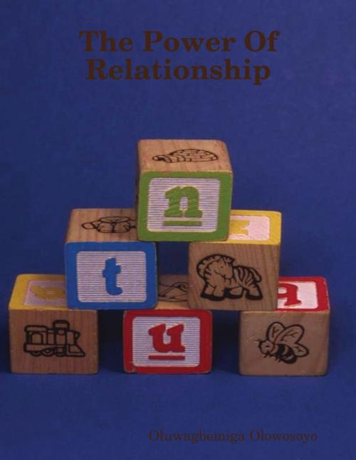 Cover of the book The Power of Relationship by Oluwagbemiga Olowosoyo, Lulu.com