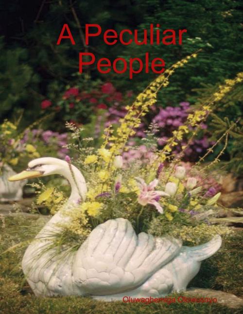 Cover of the book A Peculiar People by Oluwagbemiga Olowosoyo, Lulu.com