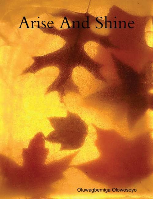 Cover of the book Arise and Shine by Oluwagbemiga Olowosoyo, Lulu.com