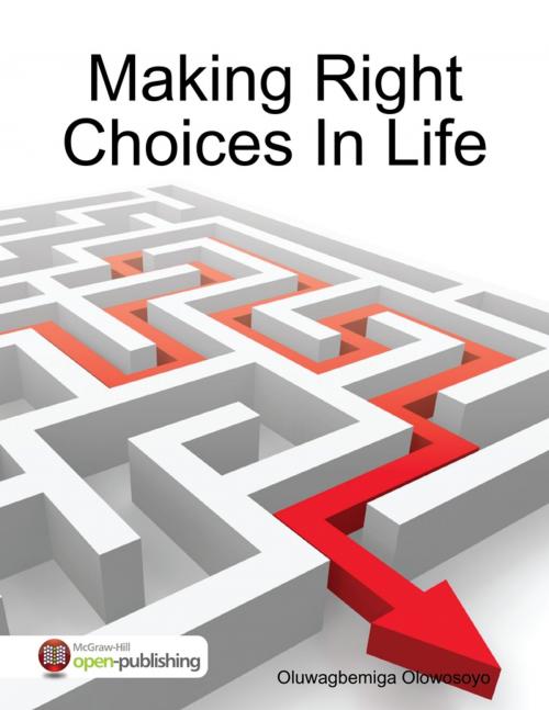 Cover of the book Making Right Choices In Life by Oluwagbemiga Olowosoyo, Lulu.com