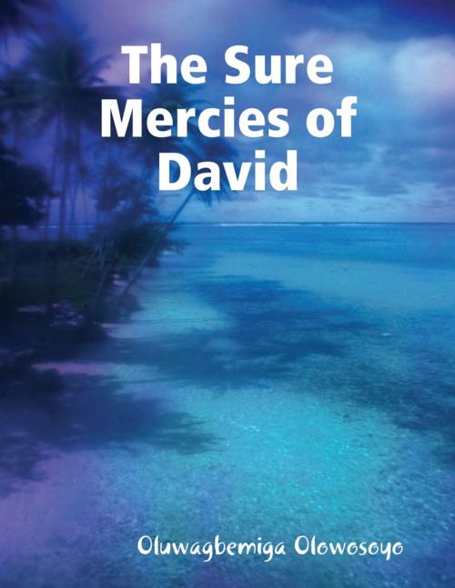 Cover of the book The Sure Mercies of David by Oluwagbemiga Olowosoyo, Lulu.com