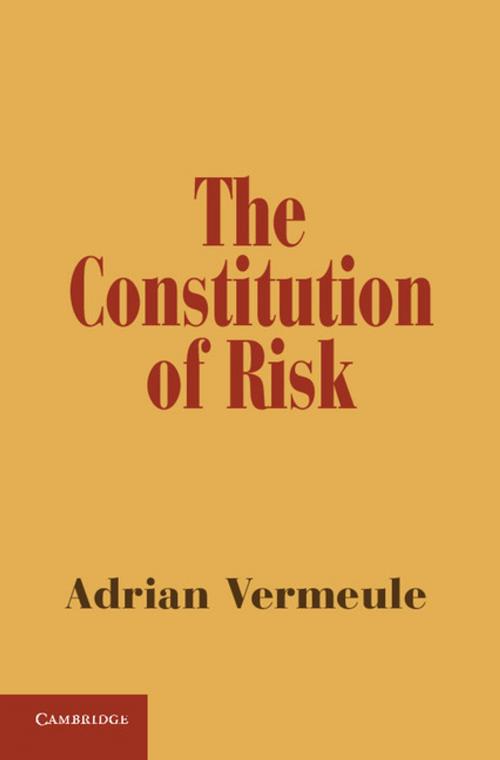 Cover of the book The Constitution of Risk by Adrian Vermeule, Cambridge University Press