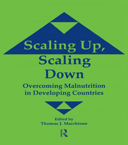 Cover of the book Scaling Up Scaling Down by , Taylor and Francis