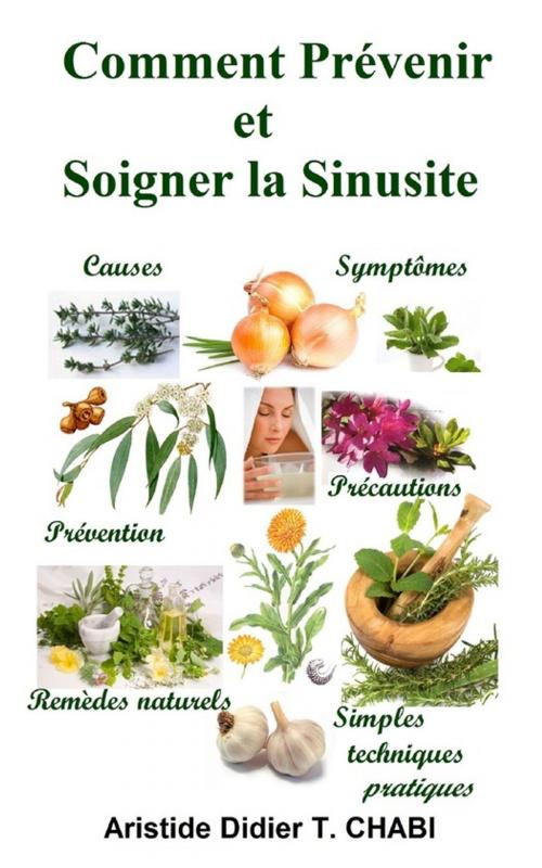 Cover of the book Comment Prévenir et Soigner la Sinusite by T. Aristide Didier Chabi, Editions CTAD