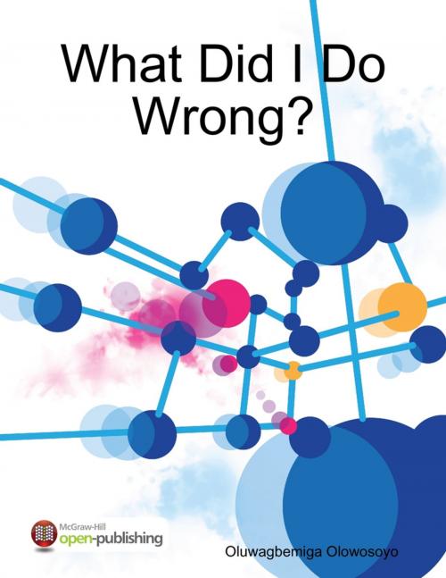 Cover of the book What Did I Do Wrong? by Oluwagbemiga Olowosoyo, Lulu.com
