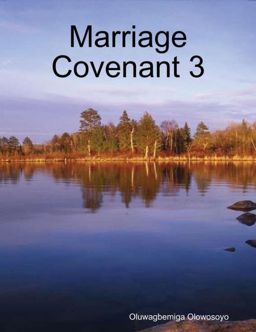 Cover of the book Marriage Covenant 3 by Oluwagbemiga Olowosoyo, Lulu.com