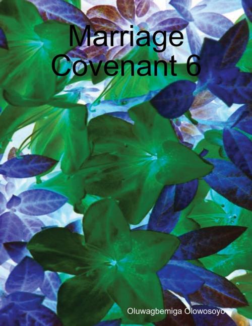 Cover of the book Marriage Covenant 6 by Oluwagbemiga Olowosoyo, Lulu.com