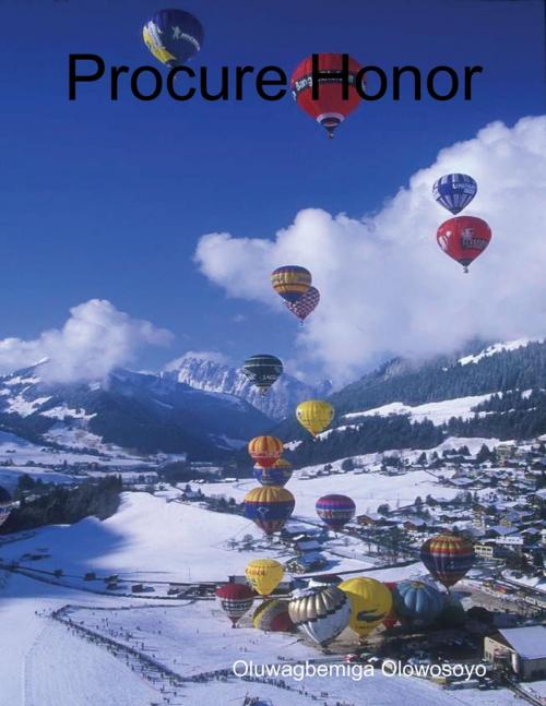 Cover of the book Procure Honor by Oluwagbemiga Olowosoyo, Lulu.com