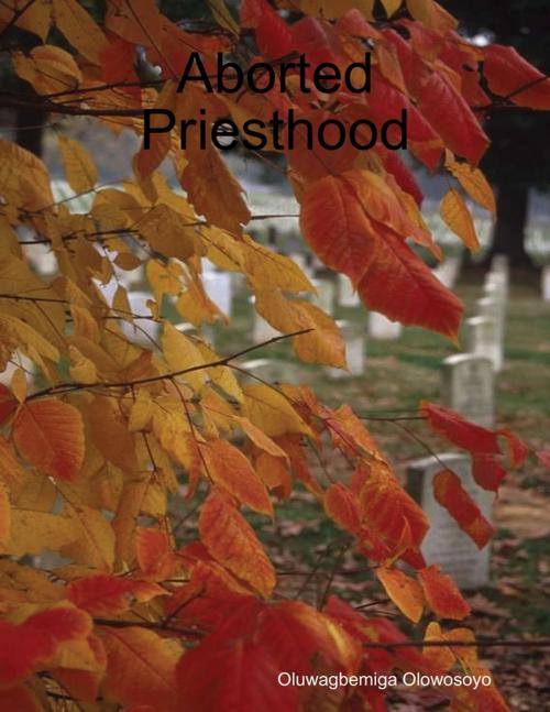 Cover of the book Aborted Priesthood by Oluwagbemiga Olowosoyo, Lulu.com