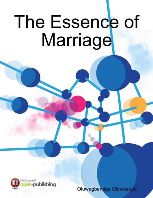 Cover of the book The Essence of Marriage by Oluwagbemiga Olowosoyo, Lulu.com