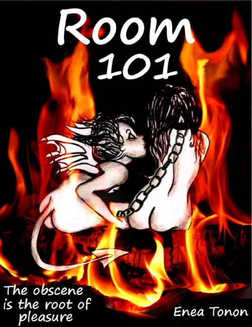 Cover of the book Room 101 - The Obscene is the Root of Pleasure - by Enea Tonon, Lulu.com