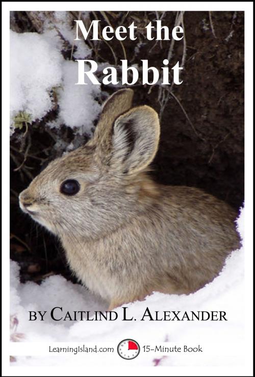 Cover of the book Meet the Rabbit: A 15-Minute Book for Early Readers by Caitlind L. Alexander, LearningIsland.com