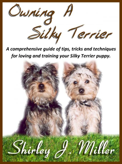 Cover of the book Owning a Silky Terrier by Shirley J. Miller, Shirley J. Miller