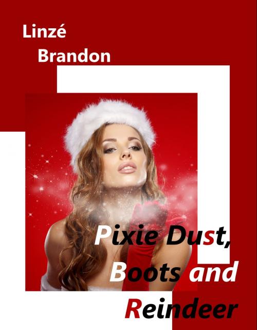 Cover of the book Pixie Dust, Boots and Reindeer by Linzé Brandon, Linzé Brandon