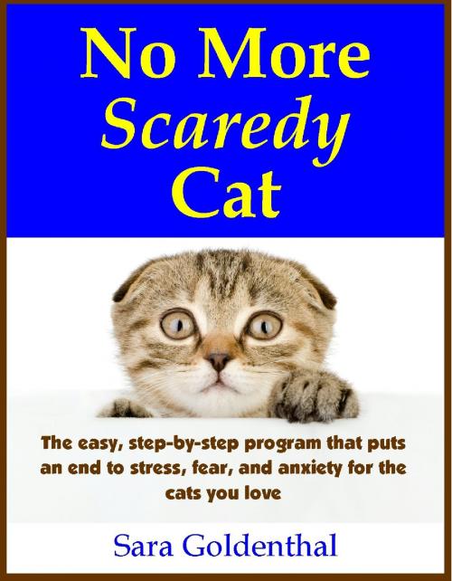 Cover of the book No More Scaredy Cat by Sara Goldenthal, StrawberryBooks