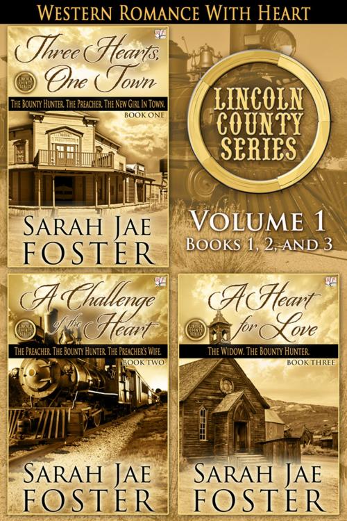 Cover of the book Lincoln County Series by Sarah Jae Foster, River Valley Publishing