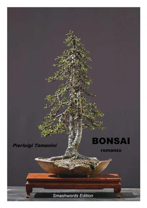 Cover of the book Bonsai by Pierluigi Tamanini, Pierluigi Tamanini