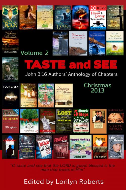 Cover of the book Volume 2, Taste and See, John 3:16 Authors' Anthology of Chapters by Lorilyn Roberts, Lorilyn Roberts