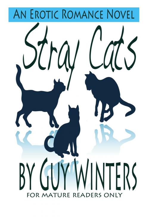 Cover of the book Stray Cats by Guy Winters, Guy Winters