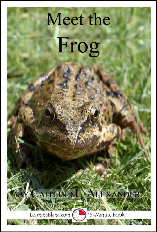 Cover of the book Meet the Frog: A 15-Minute Book for Early Readers by Caitlind L. Alexander, LearningIsland.com