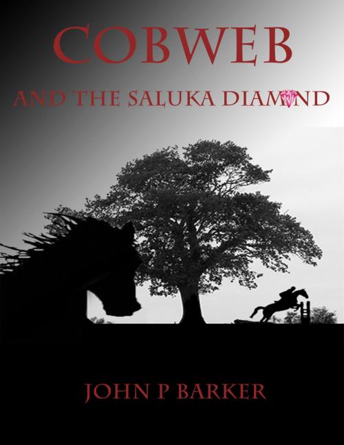 Cover of the book Cobweb And The Saluka Diamond by John P Barker, John P Barker