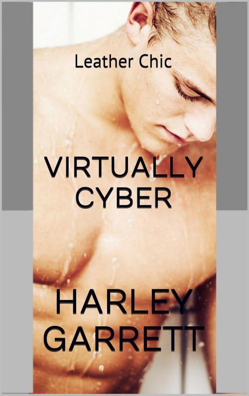 Cover of the book Virtually Cyber by Harley Garrett, Langley's Lovelies