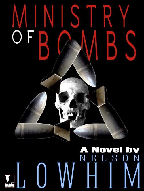 Cover of the book Ministry of Bombs by Nelson Lowhim, Eiso Publishing