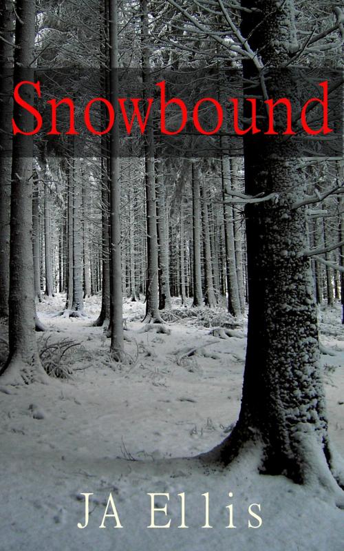 Cover of the book Snowbound by JA Ellis, JA Ellis