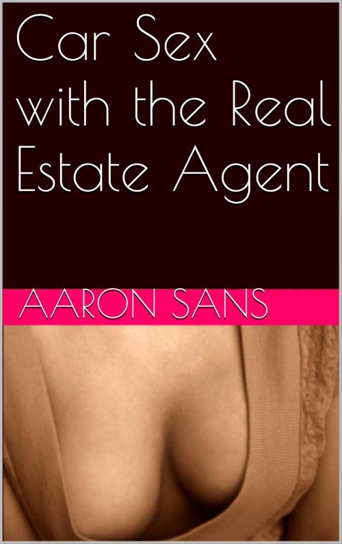 Cover of the book Car Sex with the Real Estate Agent by Aaron Sans, Charlie Bent