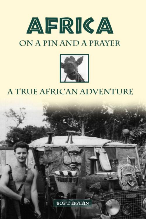 Cover of the book Africa on a Pin and a Prayer by Bob T. Epstein, Bob T. Epstein