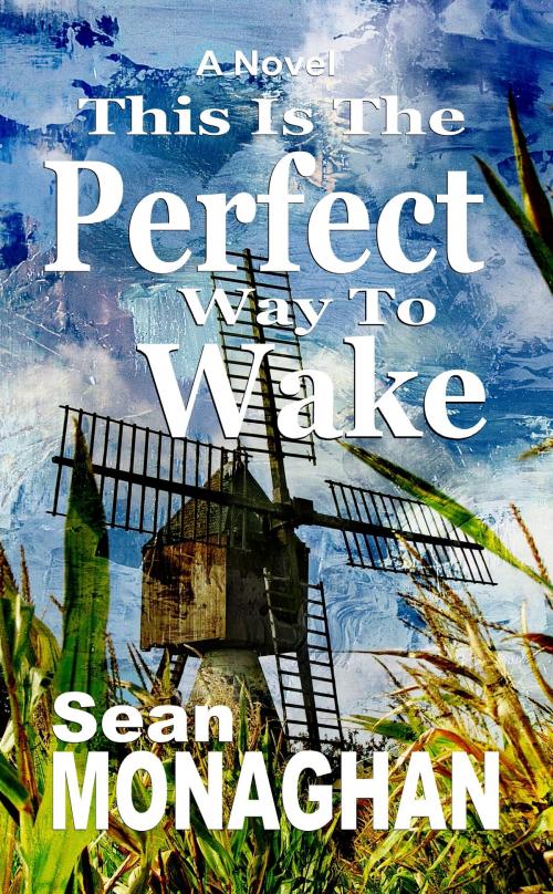Cover of the book This is the Perfect Way to Wake by Sean Monaghan, Triple V Publishing