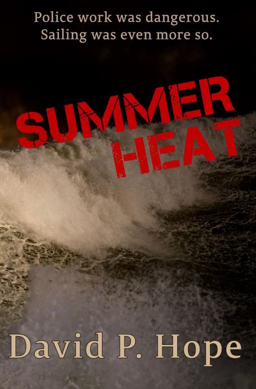 Cover of the book Summer Heat by David P. Hope, Rambling Star Publishing