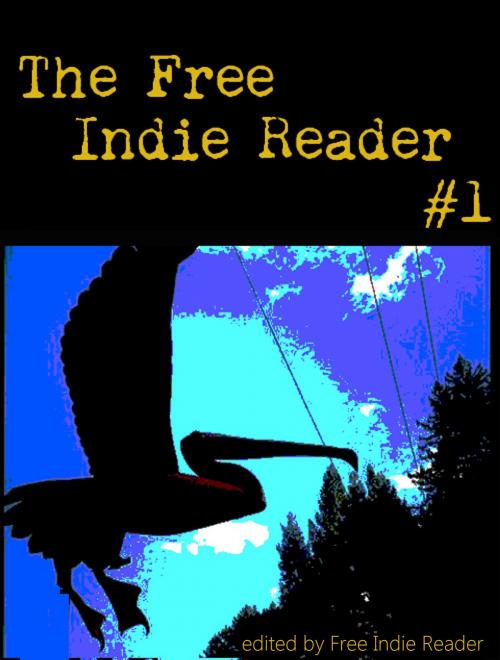 Cover of the book The Free Indie Reader #1 by Free Indie Reader, Free Indie Reader