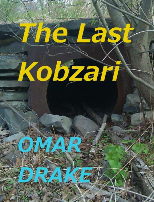 Cover of the book The Last Kobzari by Omar Drake, Omar Drake