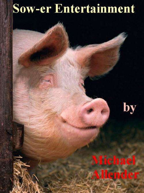 Cover of the book Sow-er Entertainment by Michael Allender, Michael Allender