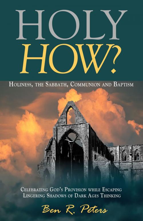 Cover of the book Holy How? Holiness, the Sabbath, Communion and Baptism by Ben R Peters, Ben R Peters