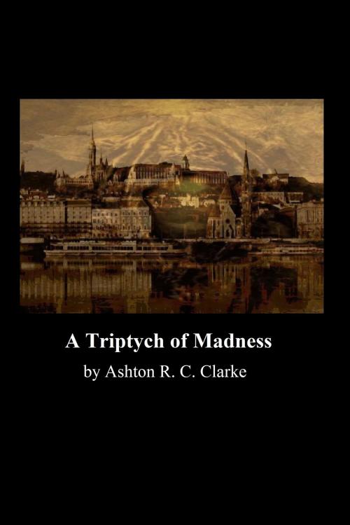 Cover of the book A Triptych of Madness by Ashton R. C. Clarke, Ashton R. C. Clarke