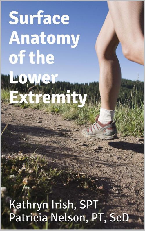 Cover of the book Surface Anatomy of the Lower Extremity by Kathryn Irish, Kathryn Irish