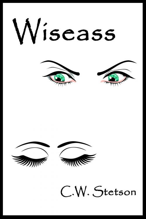Cover of the book Wiseass by C.W. Stetson, C.W. Stetson