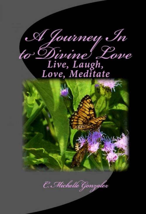 Cover of the book A Journey In to Divine Love by C. Michelle Gonzalez, C. Michelle Gonzalez