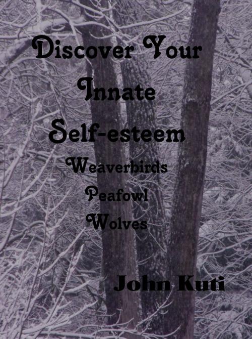 Cover of the book Discover Your Innate Self-esteem-Weaverbirds, Peafowl, Wolves by John Kuti, John Kuti