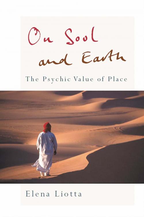 Cover of the book On Soul and Earth by Elena Liotta, Taylor and Francis