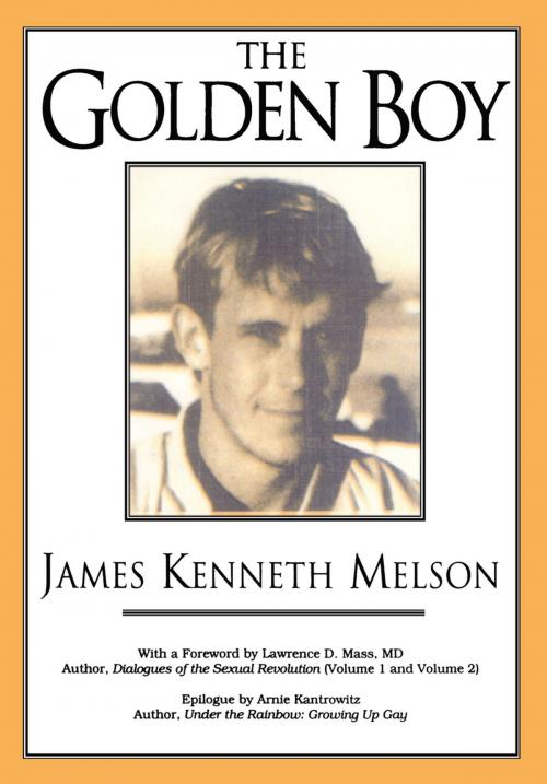 Cover of the book The Golden Boy by Robert Hatch, Taylor and Francis