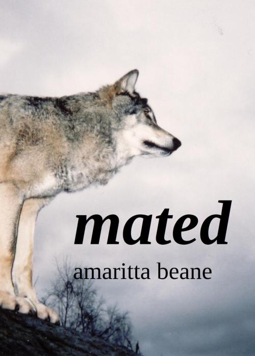 Cover of the book Mated by Amaritta Beane, Amaritta Beane