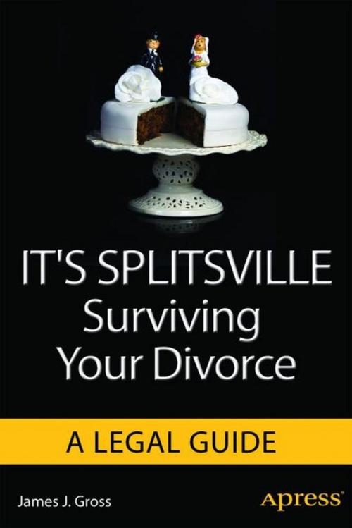 Cover of the book It's Splitsville by James J. Gross, Apress