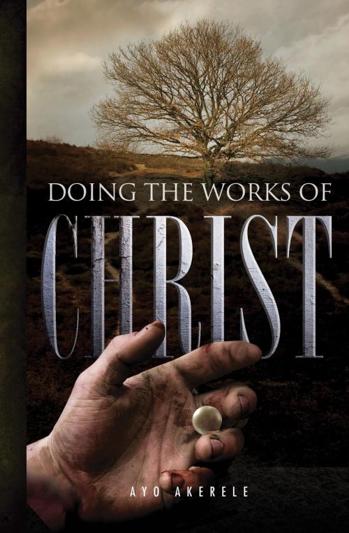 Cover of the book Doing the Works of Christ by Ayo Akerele, Essence Publishing