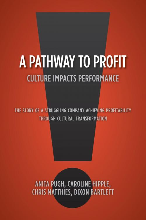 Cover of the book A Pathway to Profit by Anita Pugh  Caroline Hipple  Chris Matthies  Dixon Bartlett, FriesenPress