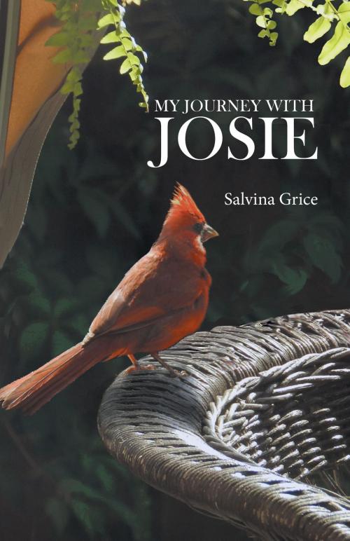 Cover of the book My Journey with Josie by Salvina Grice, BA, FriesenPress
