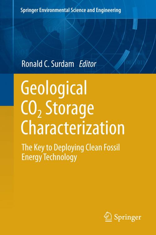 Cover of the book Geological CO2 Storage Characterization by , Springer New York