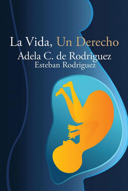 Cover of the book La Vida, Un Derecho by ADELA C. DE RODRIGUEZ, Palibrio